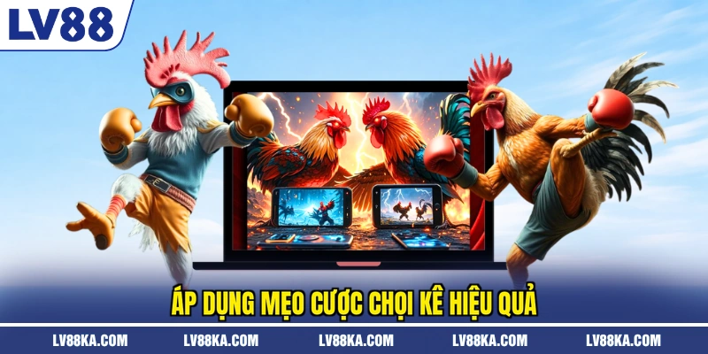 Đá Gà Tre - Theo Dõi Màn Đấu Kịch Tính 2026 Tại LV88 4 Áp dụng mẹo cược chọi kê hiệu quả