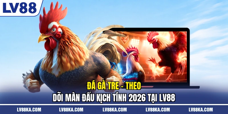 Đá Gà Tre - Theo Dõi Màn Đấu Kịch Tính 2026 Tại LV88 1 Đá Gà Tre - Theo Dõi Màn Đấu Kịch Tính 2026 Tại LV88