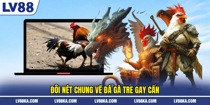 Đá Gà Tre - Theo Dõi Màn Đấu Kịch Tính 2026 Tại LV88 2 Đôi nét chung về đá gà tre gay cấn