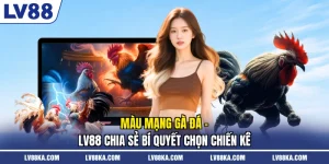 Màu Mạng Gà Đá - LV88 Chia Sẻ Bí Quyết Chọn Chiến Kê
